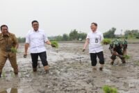 Wakil Menteri Pertanian (Wamentan) Sudaryono saat meninjau salah satu pabrik jagung swasta di Kabupaten Klaten, Jawa Tengah. (Dok. Dok. Kementan)